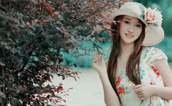 樱花官网官方进入版网址